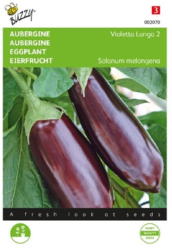 Eierfrucht Violetta Lunga 2 - Solanum melongena