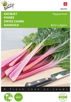 Mangold Peppermint - Buzzy