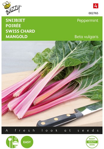 Mangold Peppermint - Buzzy