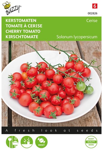 Kirschtomate Cerise - Buzzy