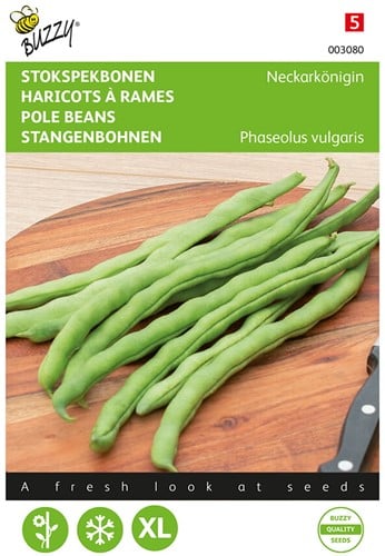 Stangenbohnen Neckarkönigin - Buzzy