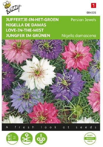 Jungfer im Grünen Persian Jewels - Nigella damascena