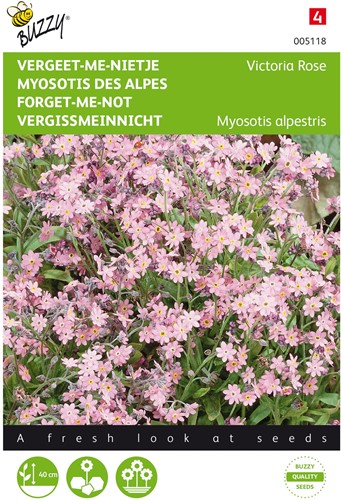 Vergissmeinnicht Victoria Rose - Buzzy Myosotis