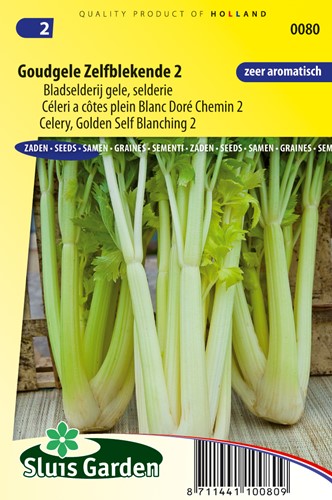 sellerieblätter Goldgelber 2