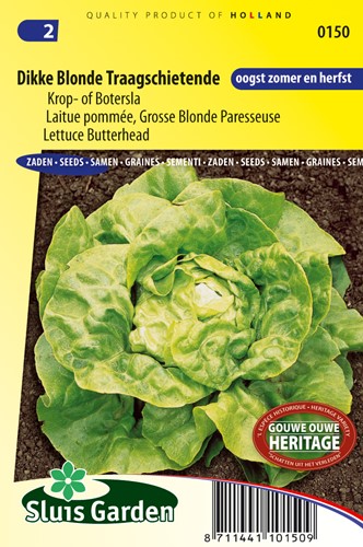 Salat Dicke Blonde Langsahmzuckende