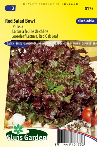 Pflücksalat Red Salad Bowl
