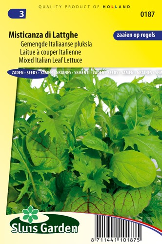 Schnittsalat Misticanza di Lattghe