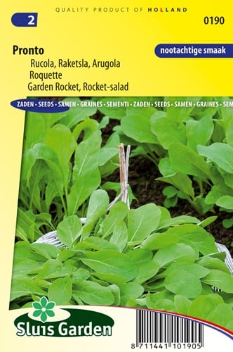 Rucola Raketenkraut Pronto