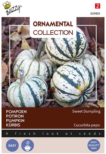 Kürbis Sweet Dumpling - Ornamental Collection