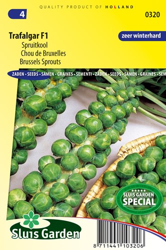 Rosenkohl Trafalgar F1