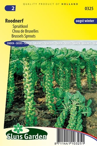 Rosenkohl Rotader