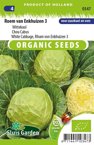 Weißkohl Roem von Enkhuizen 3 EKO