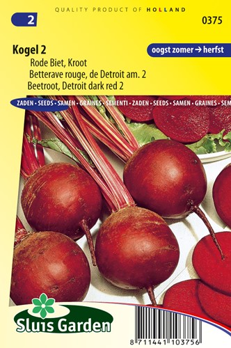 Rote Rübe Kugel 2