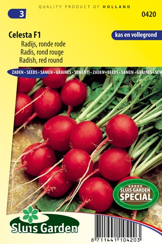 Radieschen Celesta F1