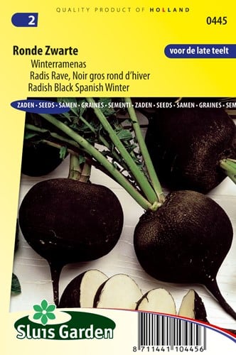 Winterrettich, runder schwarzer