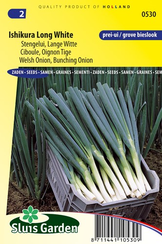 Stangelzwiebel Ishikura lange weiße