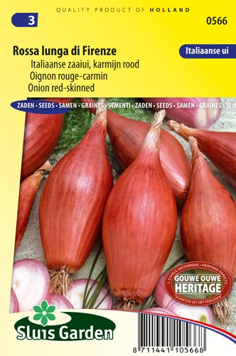 Zwiebel Rossa Lunga di Firenze
