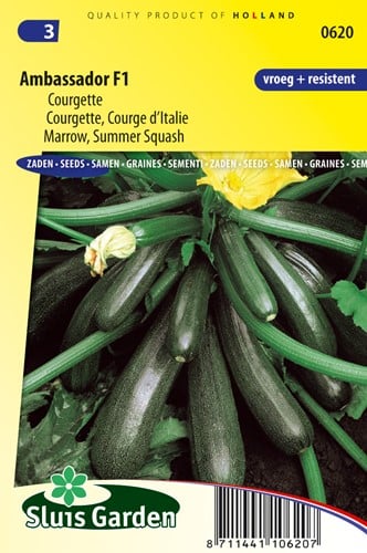 Zucchini Ambassador F1