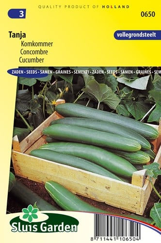 Schlangengurke Tanja
