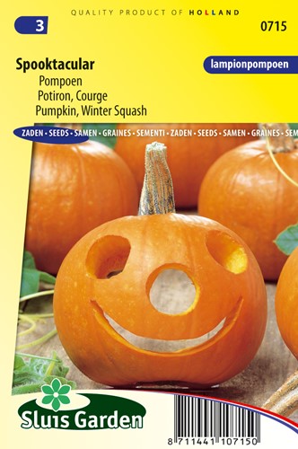 Kürbis Spooktacular F1