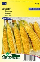 Zuckermais Earlibird F1 - Zea Mays