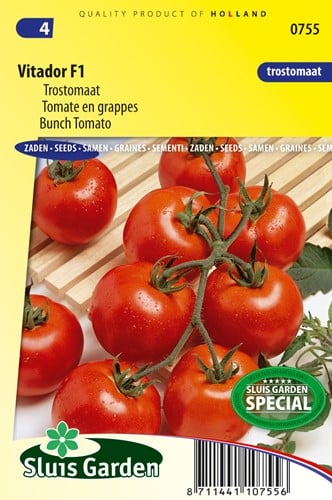 Tomate Vitador F1 - Trossen-Tomate