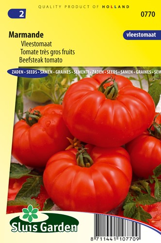 Tomate Marmande