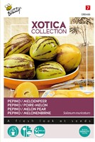 Pepino Melonenbirne - Xotica Collection kaufen? Samen bestellen bei  Samenkaufen.de