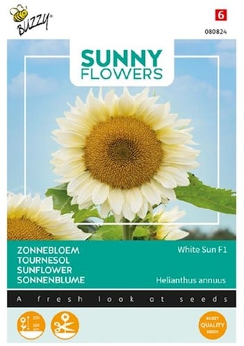 Sonnenblume White Sun F1 - Sunny flowers