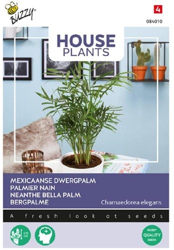 Bergpalme - Buzzy House Plants