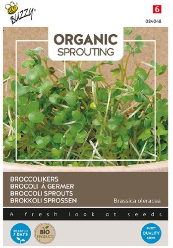 Brokkoli Sprossen - Buzzy Organic Sprouting