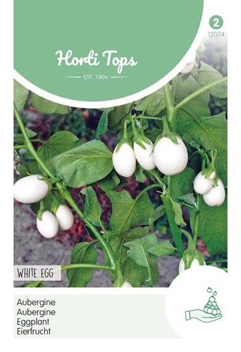 Eierfrucht White Egg - Horti Tops