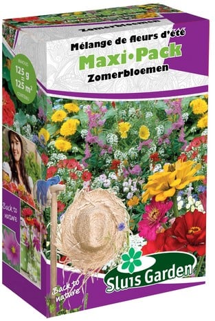 Streuschachtel Wiesenblumen-Samenmischung SOMMER - Maxi Pack Sluis Garden