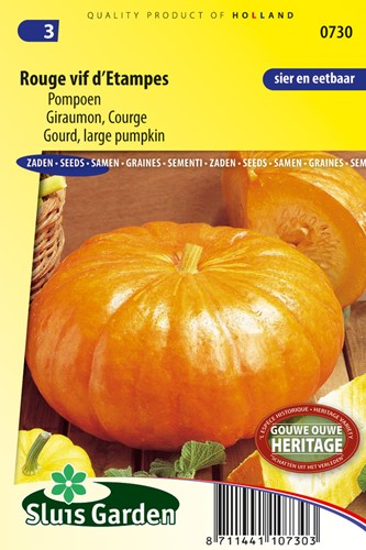 Kürbis Rouge Vif d'Etampes