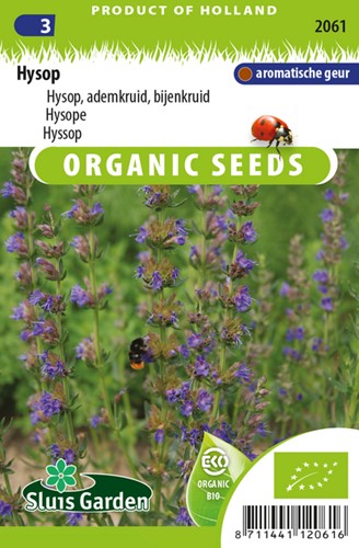 Ysop, Eisenkraut, Bienenkraut EKO