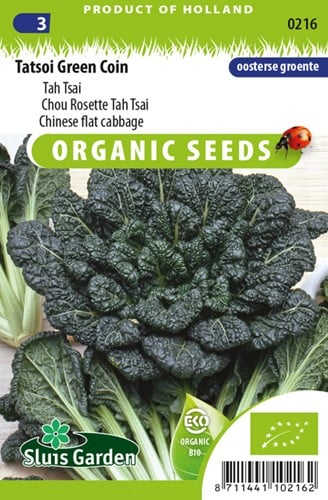 Mini Pak choi Tah Tsai Tatsoi Green Coin EKO