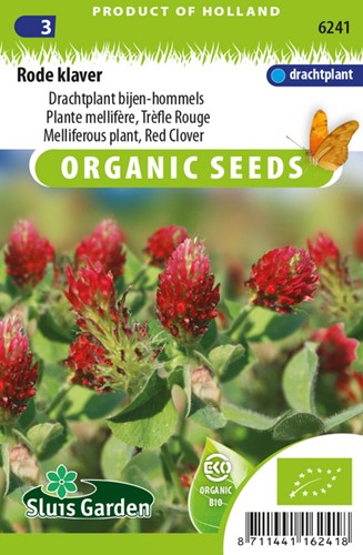 Rotklee, Bienentrachtpflanze Red Clover EKO
