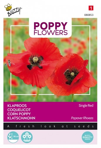 Klaproos Rood - Buzzy Poppy Flowers