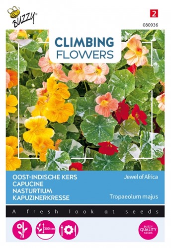 Kapuzinerkresse / Tropaeolum Jewel of Africa - Climbing Flowers