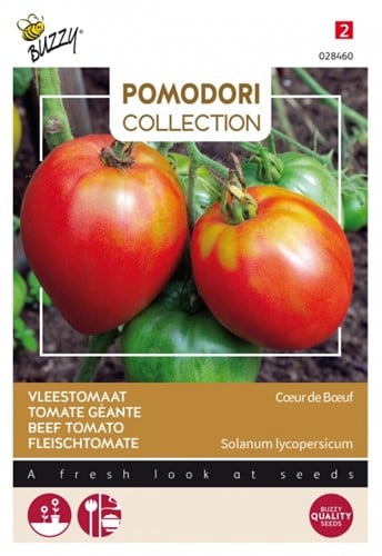 Fleischtomate Coeur De Boeuf - Pomodori Collection