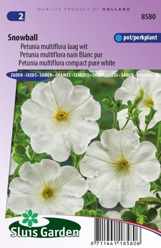 Petunia Multiflora Snowball – Petunie