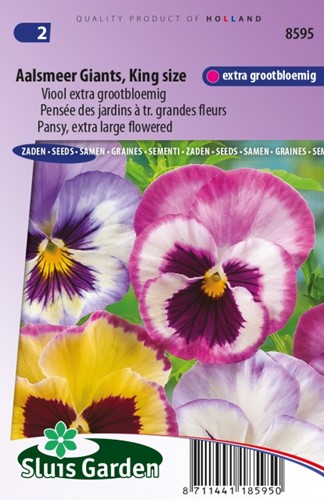 Veilchen Aalsmeer Giants, King Size – Viola Wittrockiana
