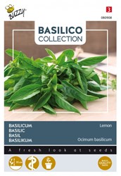 Zitronenbasilikum - Basilico Collection