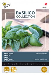 Basilikum Italiano Classico - Basilico Collection