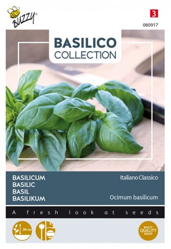 Basilikum Italiano Classico - Basilico Collection