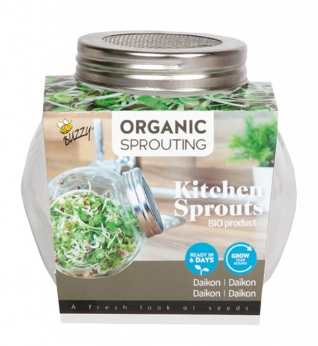 Organic Keimsprossen Keimglas - Daikon