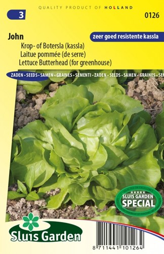Kopf- oder Buttersalat (Treibsalat) John