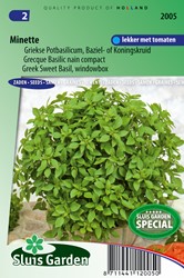 Basilienkraut Minette - Ocimum basilicum