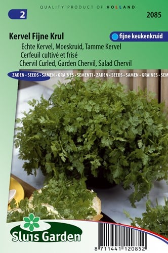 Kerbel