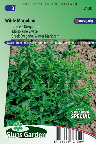 Griechischer Oregano